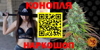 spice Канаш