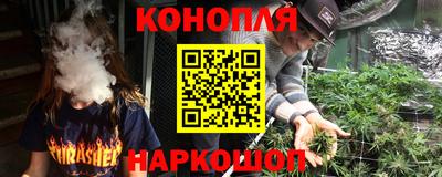 гидропоника Камышлов