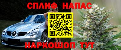 сатива Кандалакша