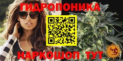 гидропоника Камышлов