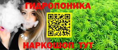 гидропоника Камышлов