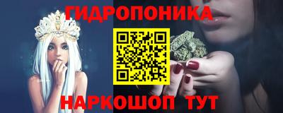 гидропоника Камышлов