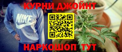 гидропоника Камышлов