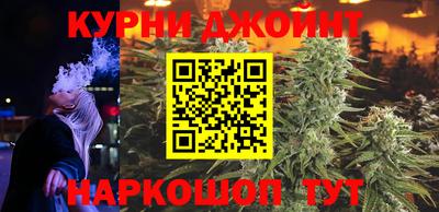 гидропоника Камышлов