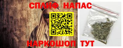 гидропоника Камышлов