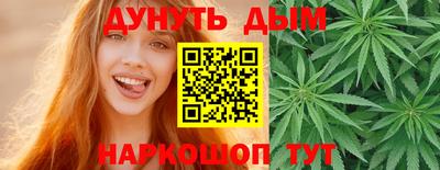 гидропоника Камышлов