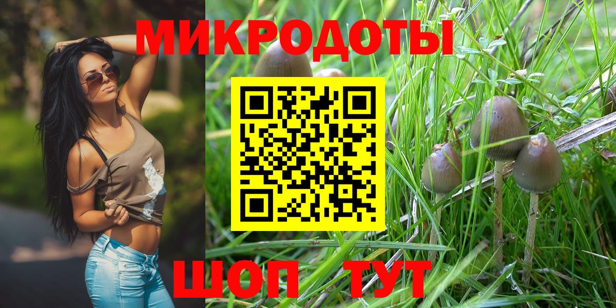 Псилоцибиновые грибы мухоморы Кострома